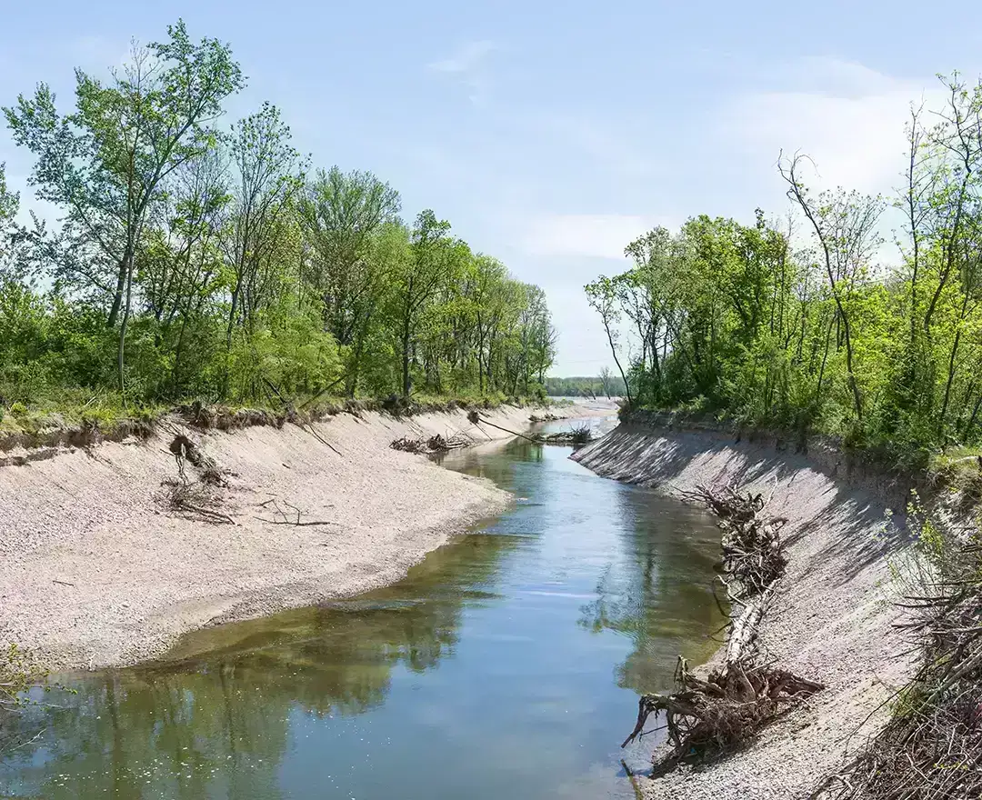 Ein zarter Fluss bahnt sich bereits seinen Weg durch Grässer und Sträucher. Dieses Gewässer ist ebenfalls Teil der Fischwanderhilfe beim Kraftwerk Altenwörth.