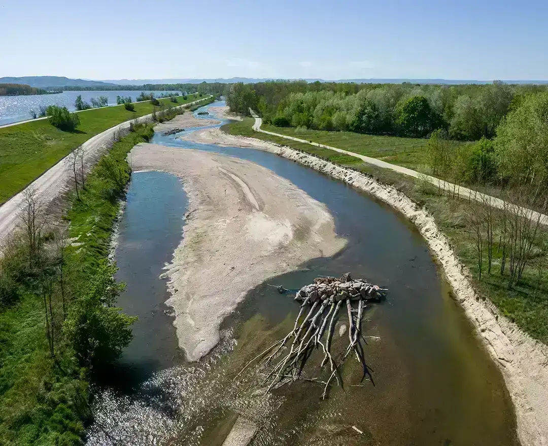 The picture clearly illustrates how the new fish migration aid is planned: a meandering river with rough coniferous trees, sandbanks and plenty of greenery on both sides.